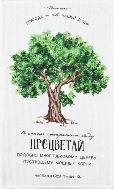 Набор кухонных полотенец Доляна «Процветай», 35х60см-2шт, 100% хл